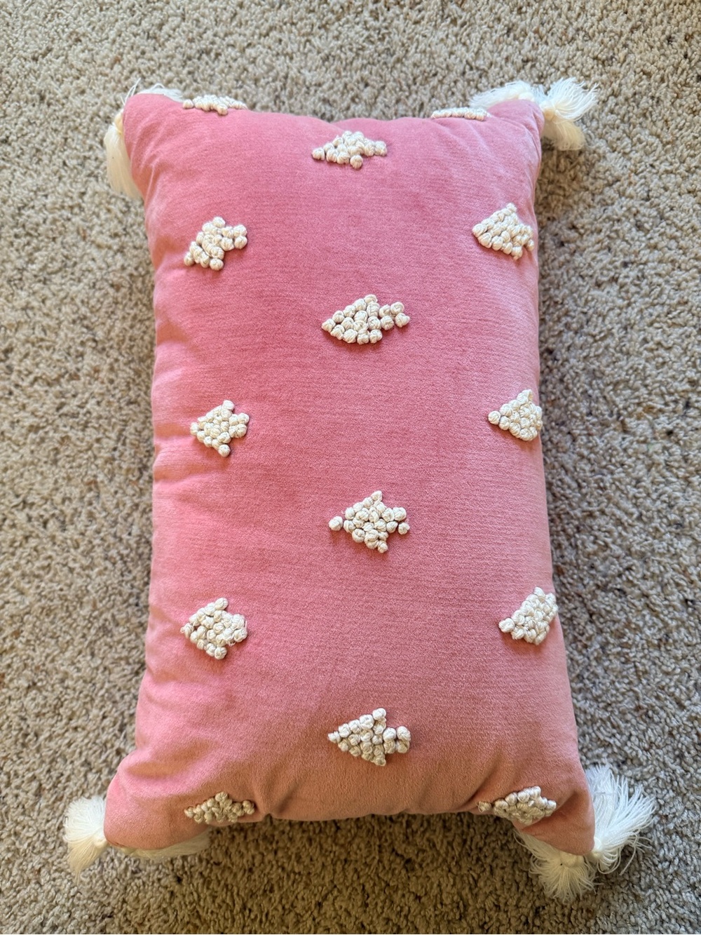 Threshold Blush Pink Textured Tassel Throw Pillow